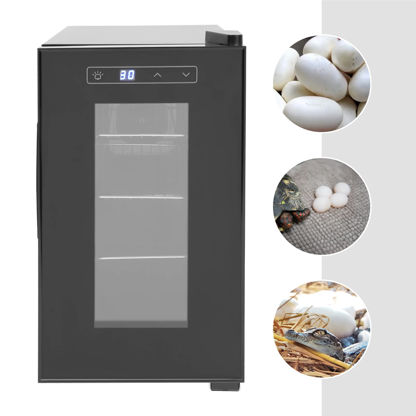 

70W Reptile Egg Incubator Rectangle Reptile Egg Incubator With LED Screen For Water Turtles Land Tortoiseshalf-water Turtles