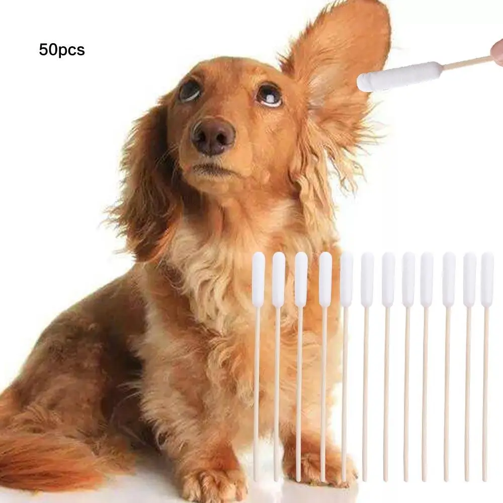 50 Uds. De hisopos de algodón para mascotas de 15cm, bastoncillos desechables de un solo cabezal para lavado de perros, bastoncillos de algodón para eliminación de suciedad, bastoncillos de algodón para perros