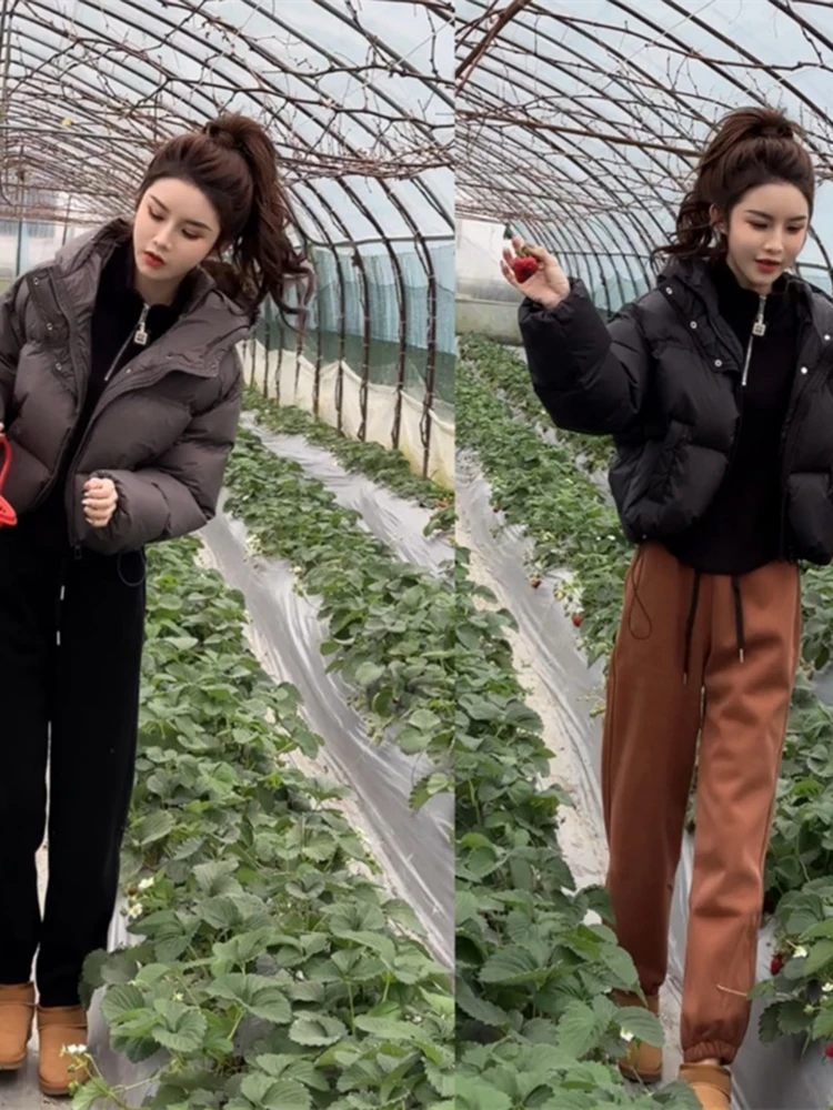 

Утепленная женская зимняя куртка с капюшоном, новая универсальная хлопковая куртка в корейском стиле, свободного кроя, с длинными рукавами, на молнии, однотонная