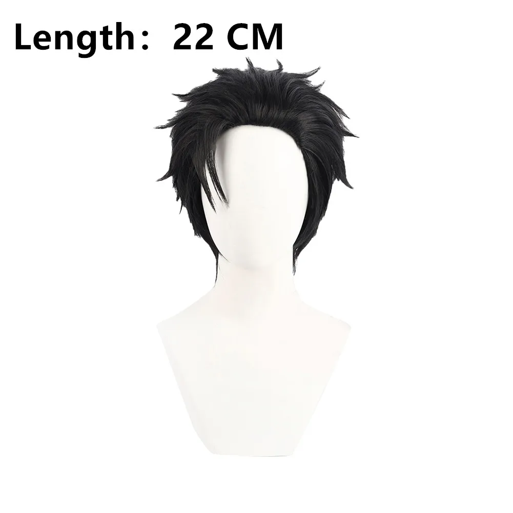 

Anime Disfraz Hiromi Higuruma Cosplay Wig Men Women Costume Accessories Synthetic Hair Carnival Halloween Party Props Headwear