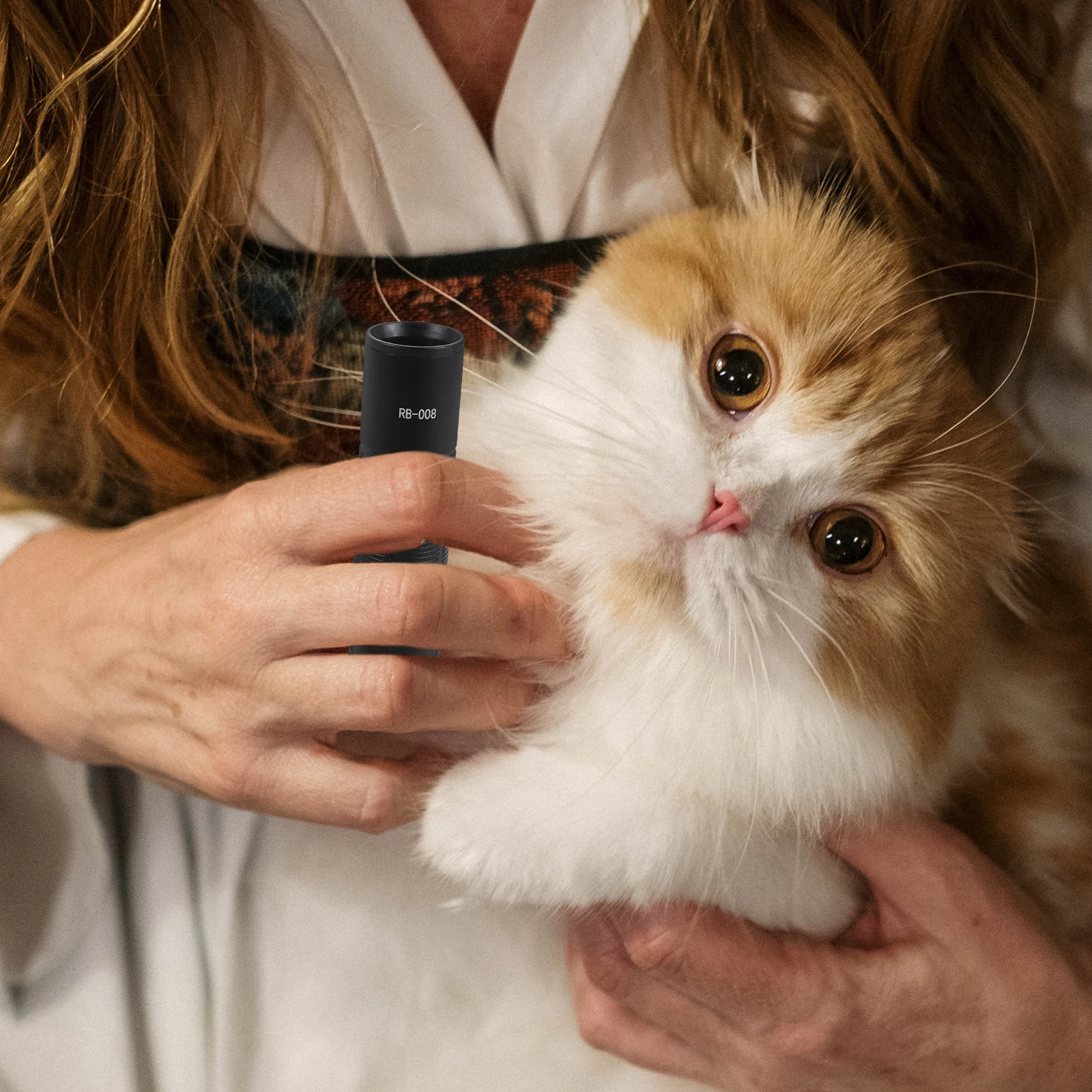 

Portable Cat Moss Lamp Mini UV Flashlight for Skin Detection Small Handheld Torch Pet Urine Pen Light Mode Compact Pet