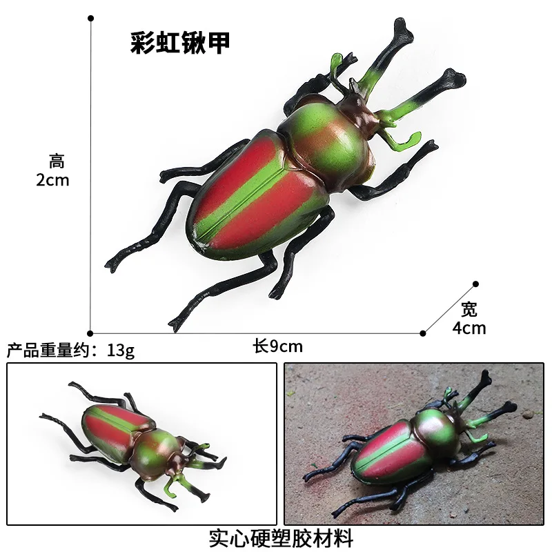 children's Montessori teaching aids simulation solid animal model Australian rainbow stag beetle stag beetle insect toy