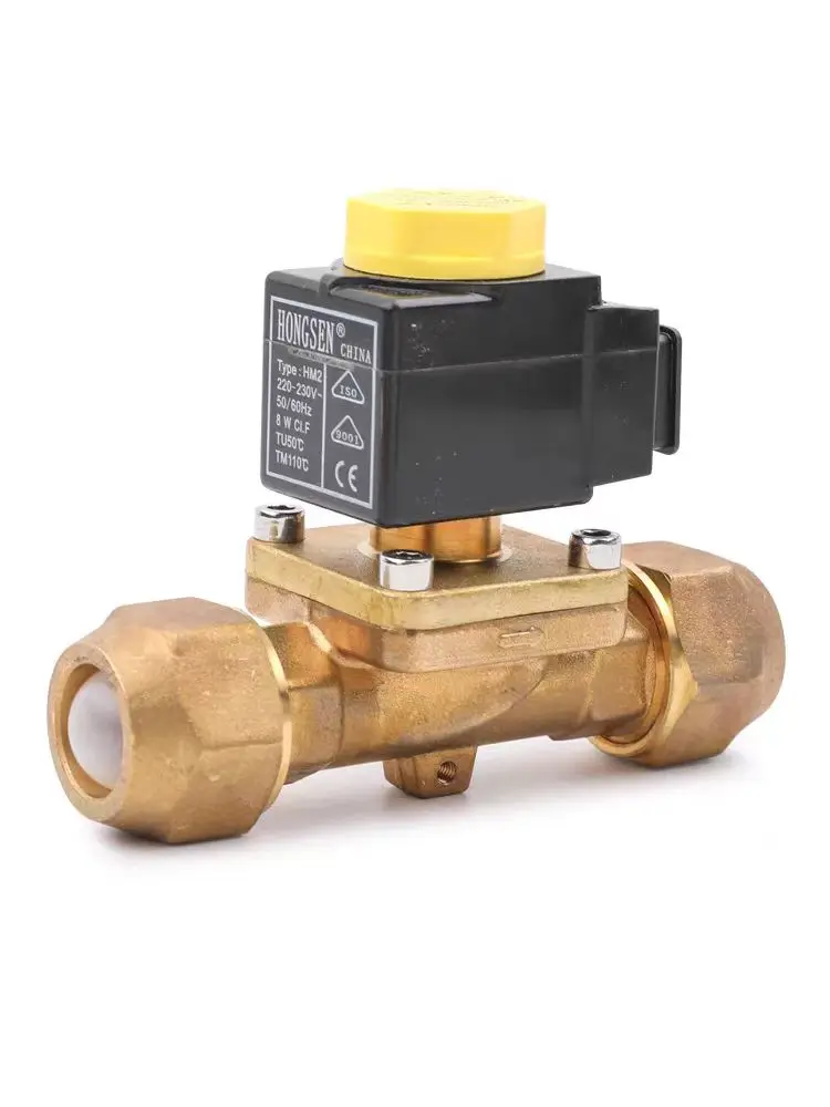 

Hongsen Kastow style cold storage central air conditioning solenoid valve solenoid two-way valve screw welding solenoid valve 22