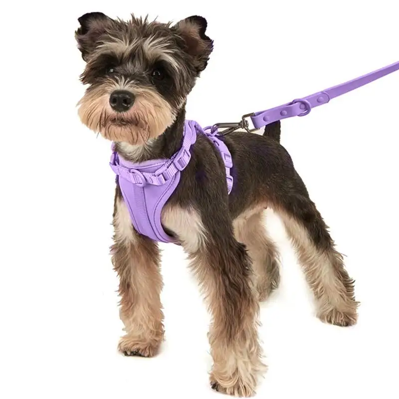 Dog Harness Set For Small Dogs No Pull For Medium Dogs Vest Harness With Lead Safety Collar Adjustable With Poop Bag Holder