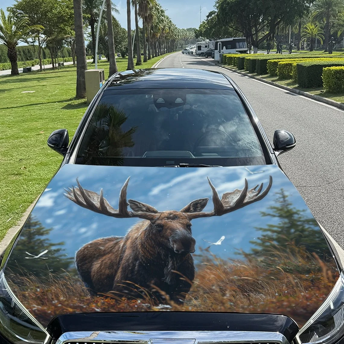 

A majestic moose with large antlers stands in a field, set against a blue sky. Perfect for car hood wraps or decals.Hood Wrap, C