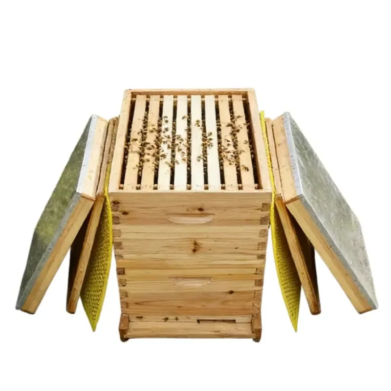 Premium Wax Coated Beehive Box Kit Includes Deep and Medium Supers for Honey Production