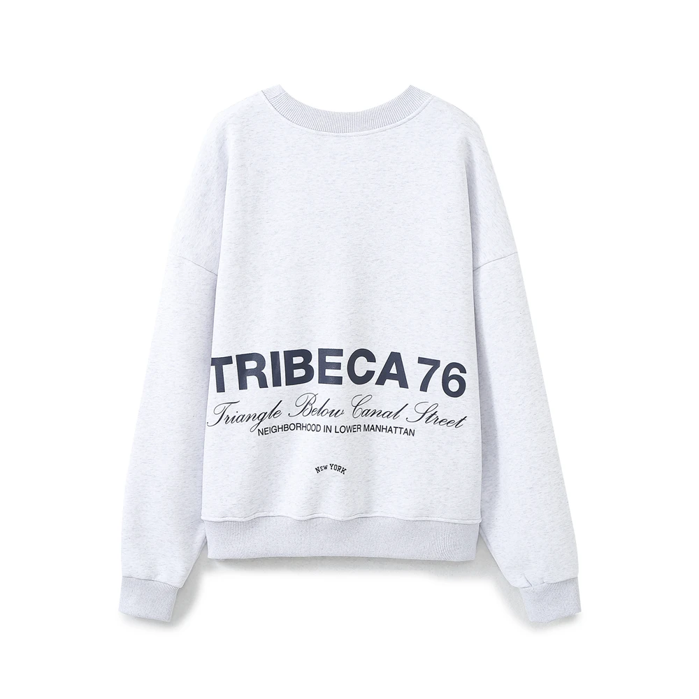 Tangada 2024 Autumn Women Embroidery Fleece Sweatshirts Oversize Long Sleeve O Neck Loose Pullovers 6H0231