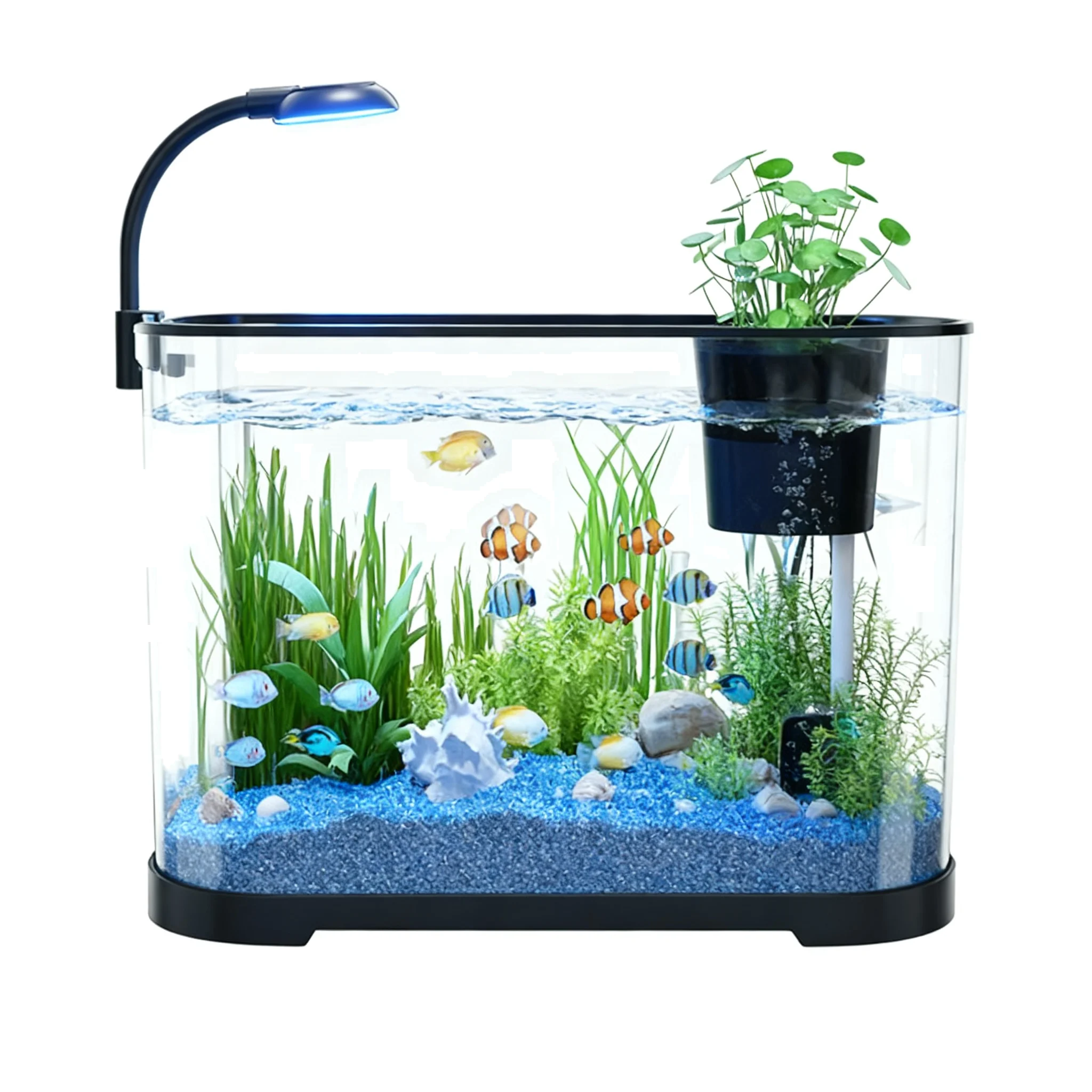 Elegant Aquatic Solution In 200 Gallon Fish Tank Making Observation Joy