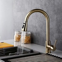 Pull Out Kitchen Faucet 2-way Sprayer Water Tap Single Handle Mixer Tap 360 Rotation Hot Cold Water Tap Kitchen Mixed Sink Tap