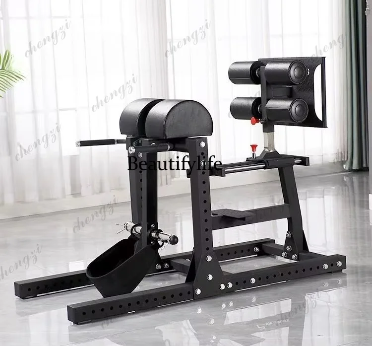 Roman Chair Multifunctional Adjustable Supine Board, Abdominal Muscle Board, Goat Push Up Device, Gym Sit Up Assist Device