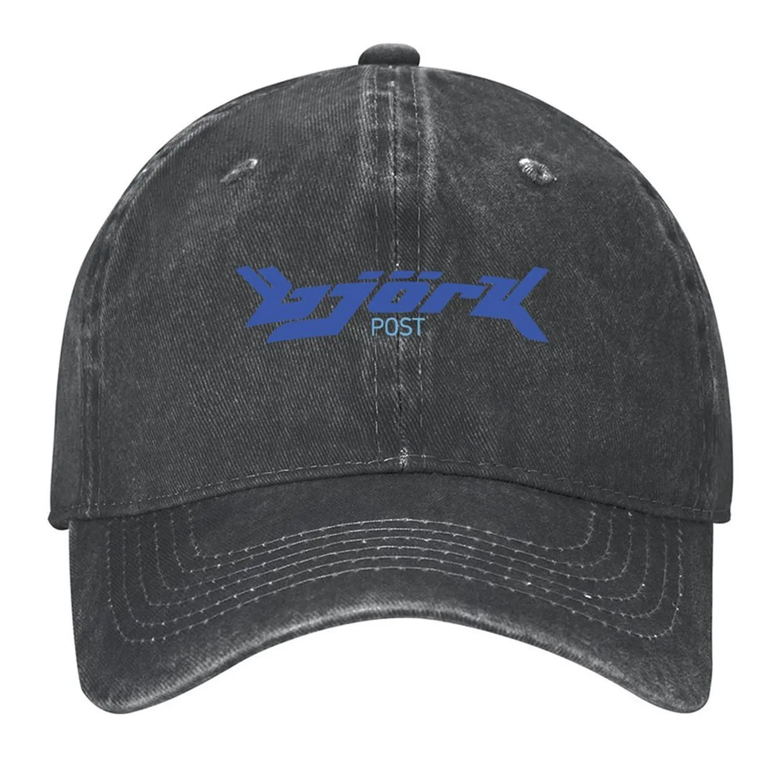 

Bjork Post Vintage Logo (Blue / Light Blue) Baseball Cap Big Size Hat Mountaineering fashionable Hats For Men Women's