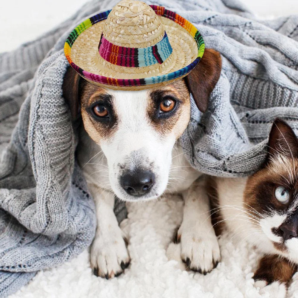 

3Pcs Pet Hat Stylish Mexican Style Beige Cosplay for Cat Puppy Long Life Comfortable Halloween Christmas Photo Shoot