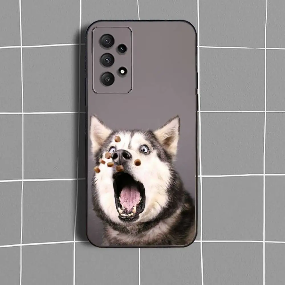 حافظة لهاتف سامسونج جالاكسي A73,31,32,72,41,53,52,71,22,5G,Note,J7,8,9 غطاء أسود ناعم