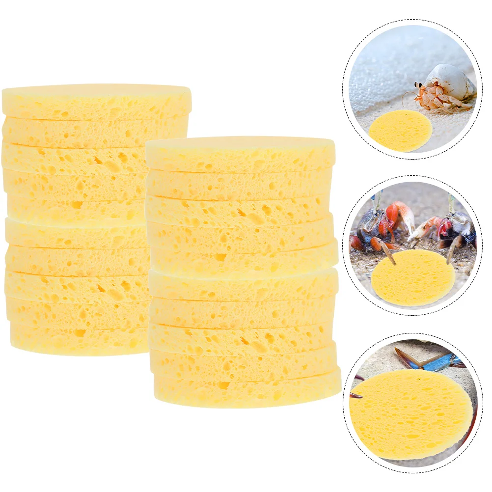 

50Pcs Hermit Crab Sponges Multi Purpose Humidity Maintaining Sponge for Pet Tank Crab Habitat Water Dish Supplies