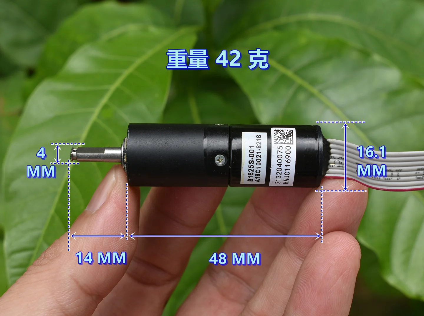 DC 5V 38RPM Micro 3-phase 8-wire BLDC Brushless Motor with Ball Bearing Planetary Gearbox Reducer Motor for Smart Robot Car