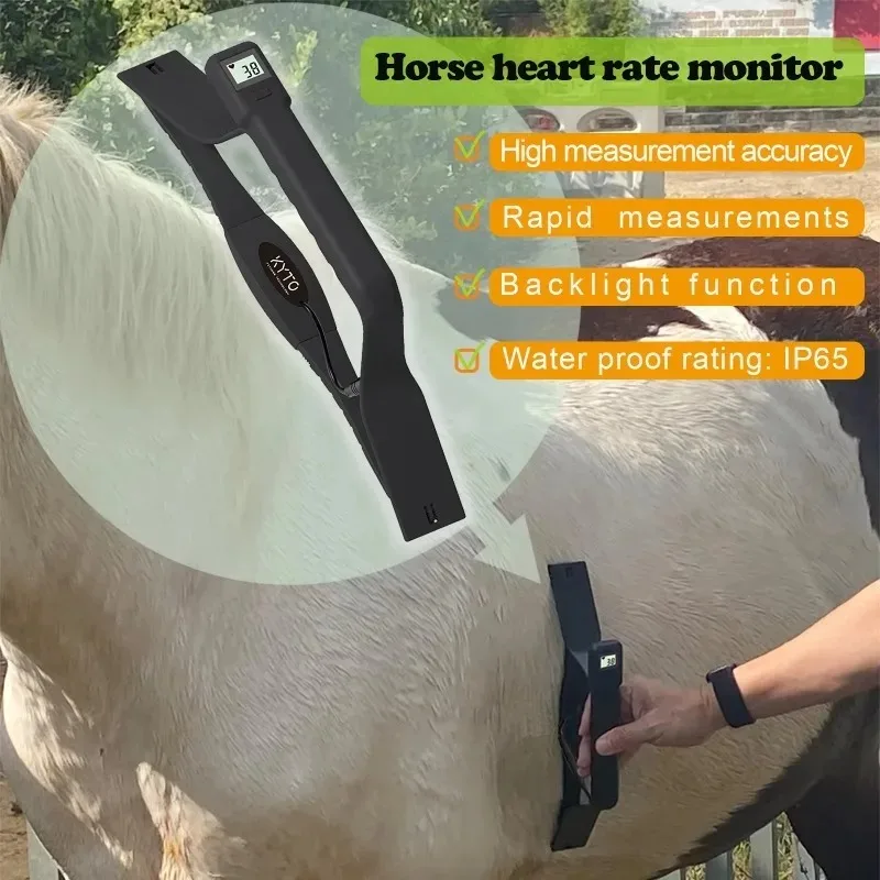 Horse Heart  Rate Sensor Monitor Rapid measurement with Backlight LCD Water Proof High accuracy KYTO2596
