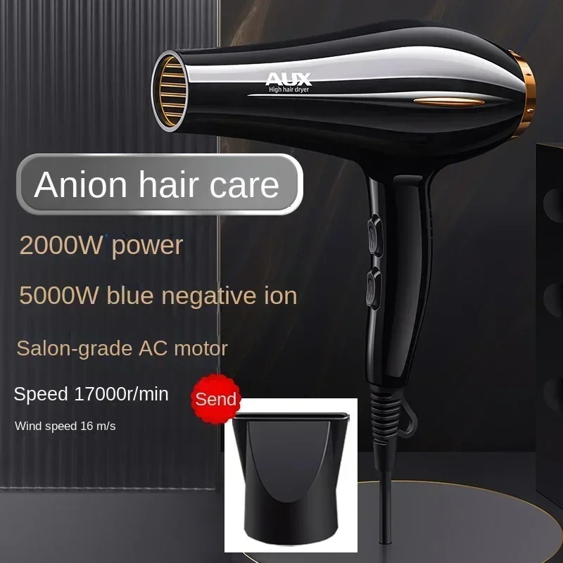 

AUX Professional Hair Dryer for Men and Women with Negative Ion Technology, Fast Drying 220V