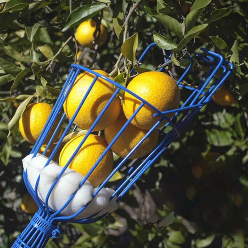 Fruit Picking Machine Fruit Collection Picking Catcher Device Is Practical And Convenient Fruit Picking Machine Gardening Tool