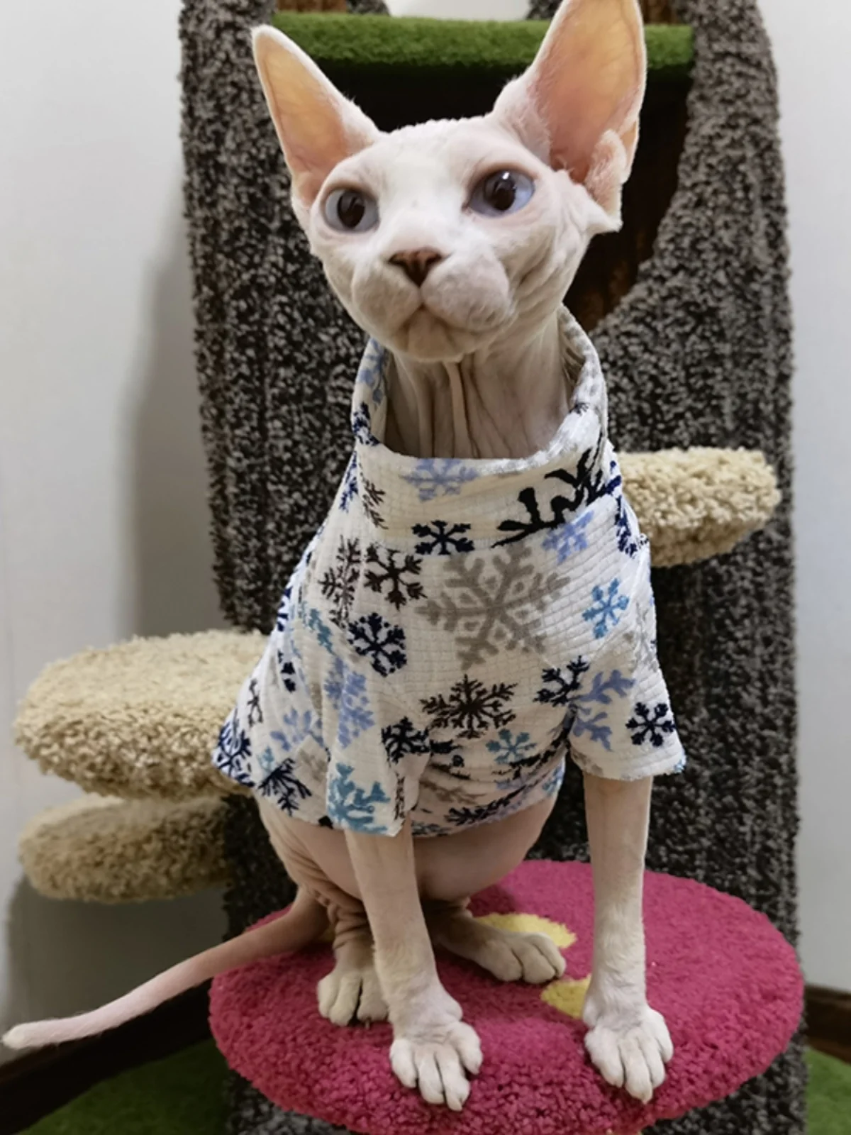 New Christmas Snowflake Clothes for Sphynx Cat Warm Sweater for Hairless Cat Winter Coat Fleece Jacket for Devon Rex Pet Product