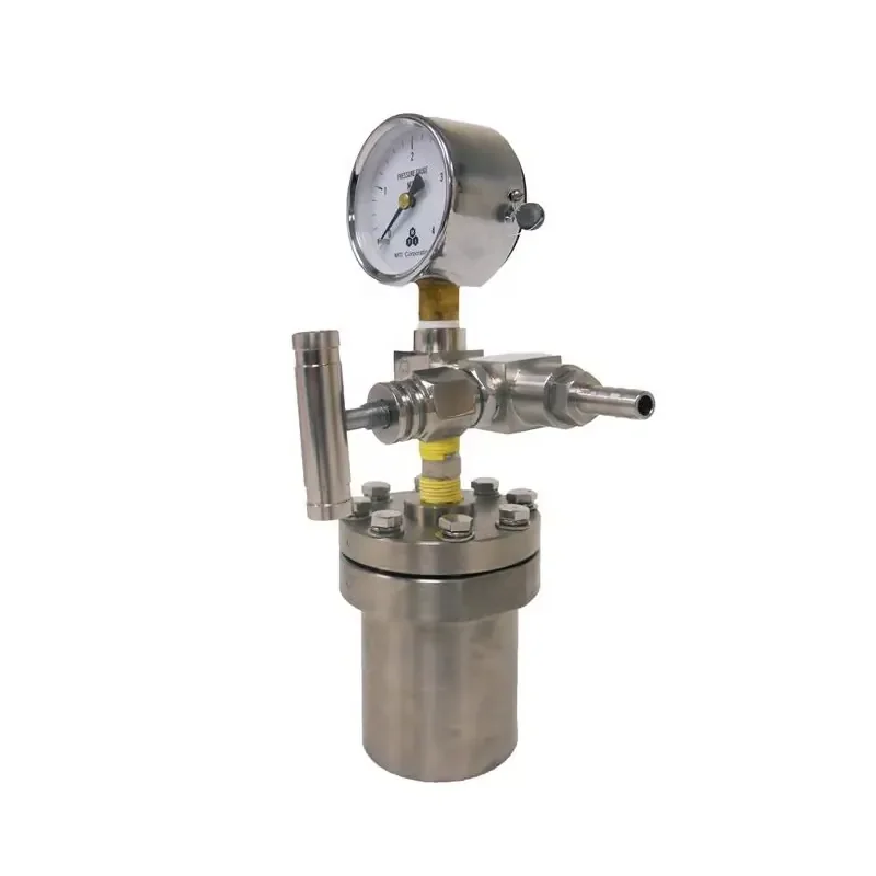200ml High Pressure Hydrothermal Synthesis Reaction Kettle Autoclave Reactor with Pressure Vessel