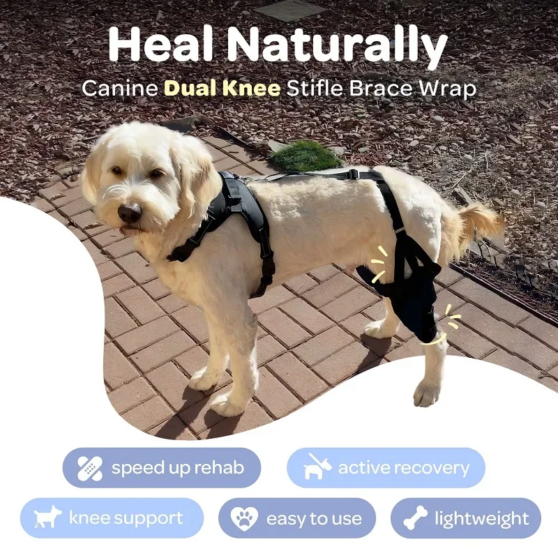 Dog Knee Brace For Support With Cruciate Ligament Injury, Joint Pain And Muscle Sore, Better Recovery With Dog ACL Knee Brace