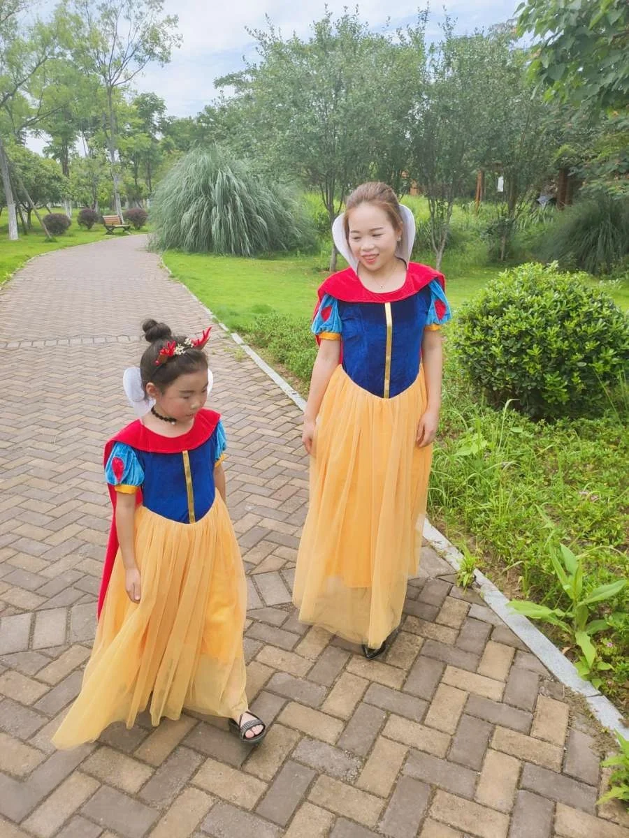 Loween adulte Princ Elsa Dr Par Costume glace Princ robe de bal femmes traditionnel Hanfu scène Performance vêtements