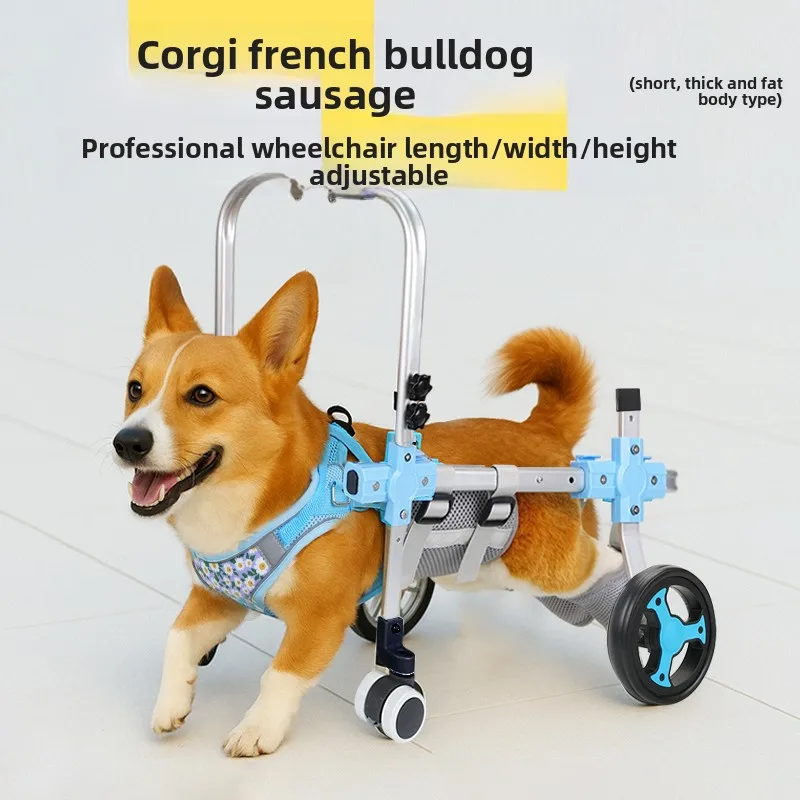 Thumbnail 3 - #42 Ranked Pet Agility Equipment Picks in 2026