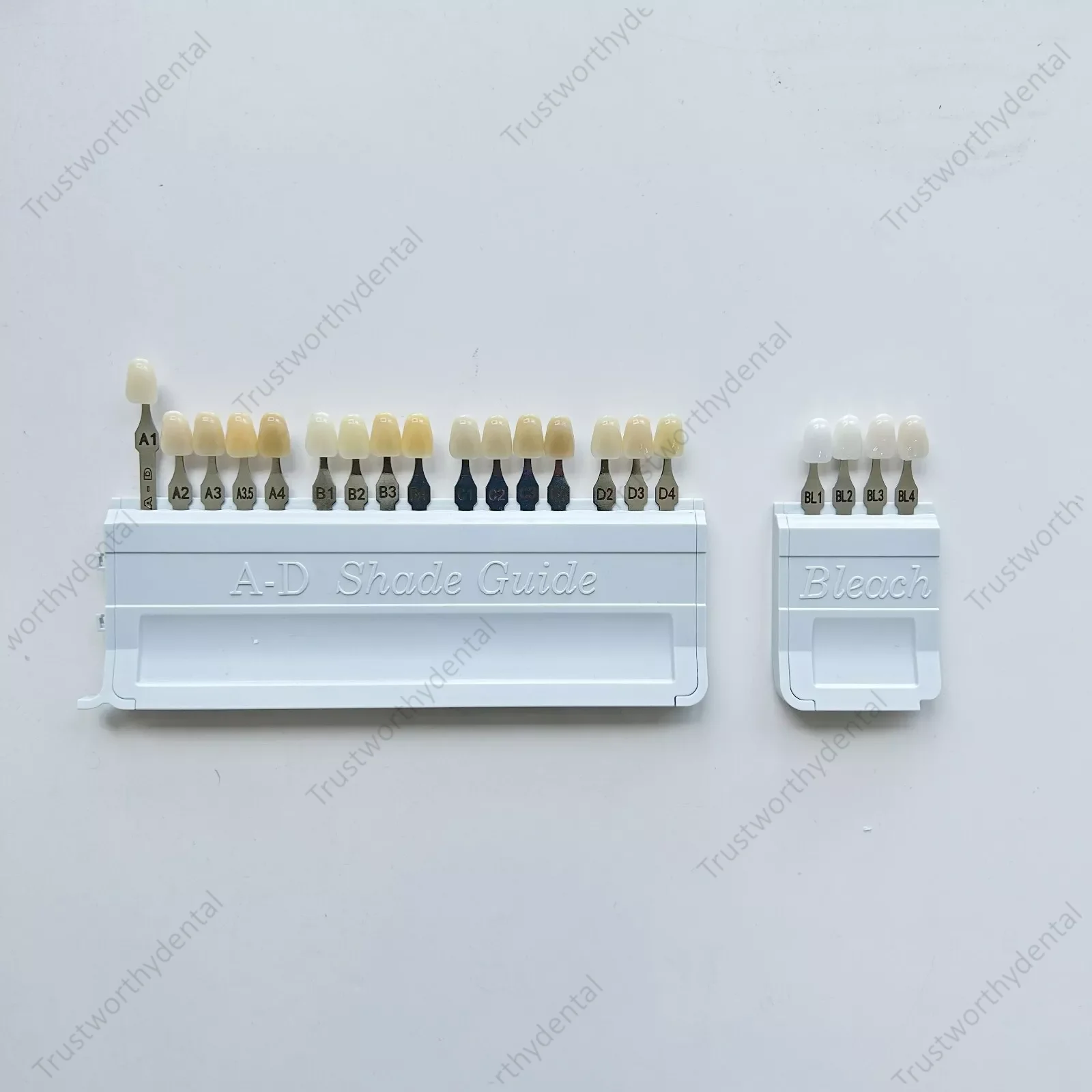 Dental Teeth Shade Guide 20 Shades Porcelain 4 Bleach Shade+ 16 A-D Shade Artificial Teeth Natural