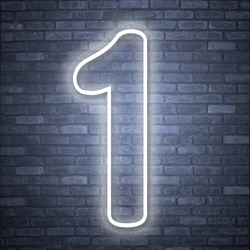 Customizable 1st Birthday USB Neon Light Sign Stand and Wall Mount Flex LED Neon with Clear Base for First Birthday Party Lights