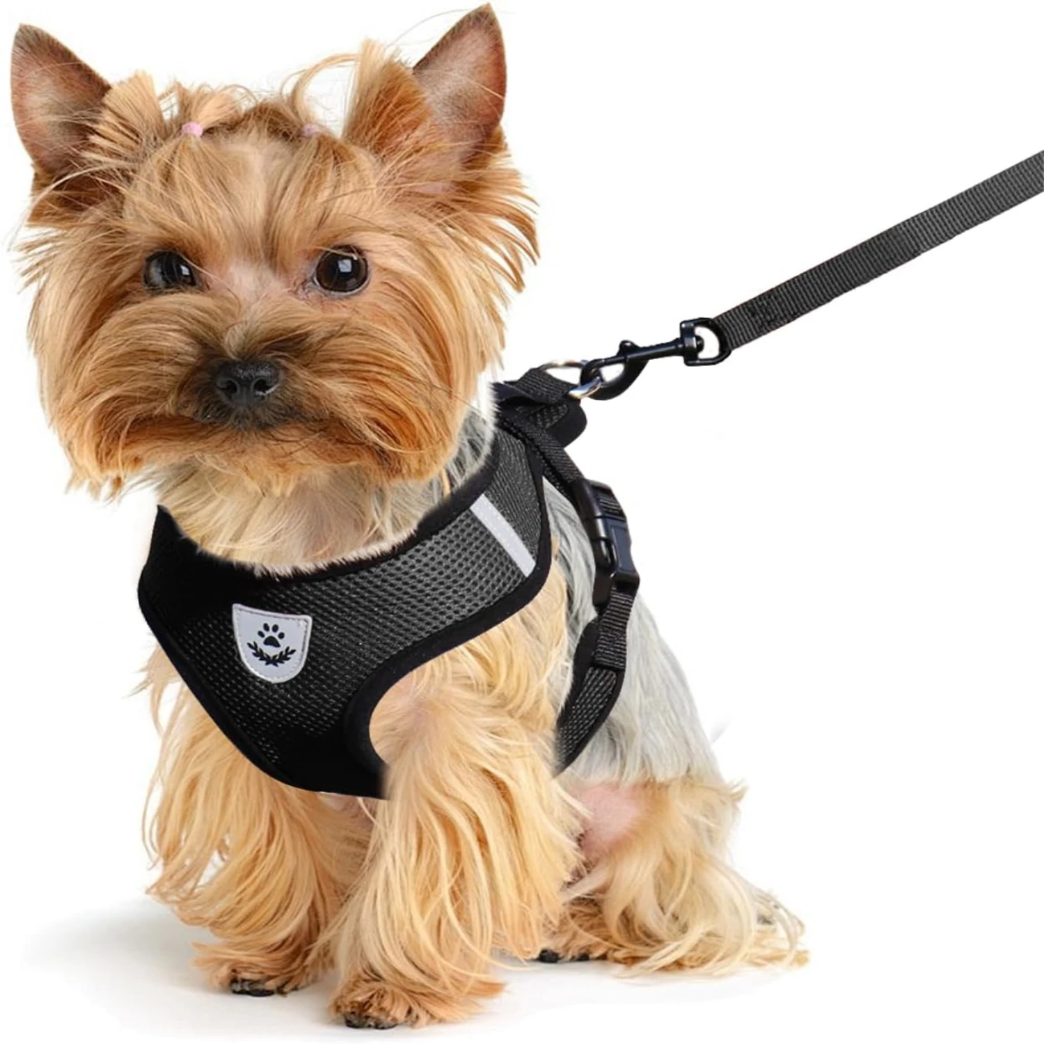 

Comfortable Soft Adjustable Mesh Chest Harness and Leash Set for Small Dogs and Puppies, Anti-Escape Design, Ideal for Medium Si