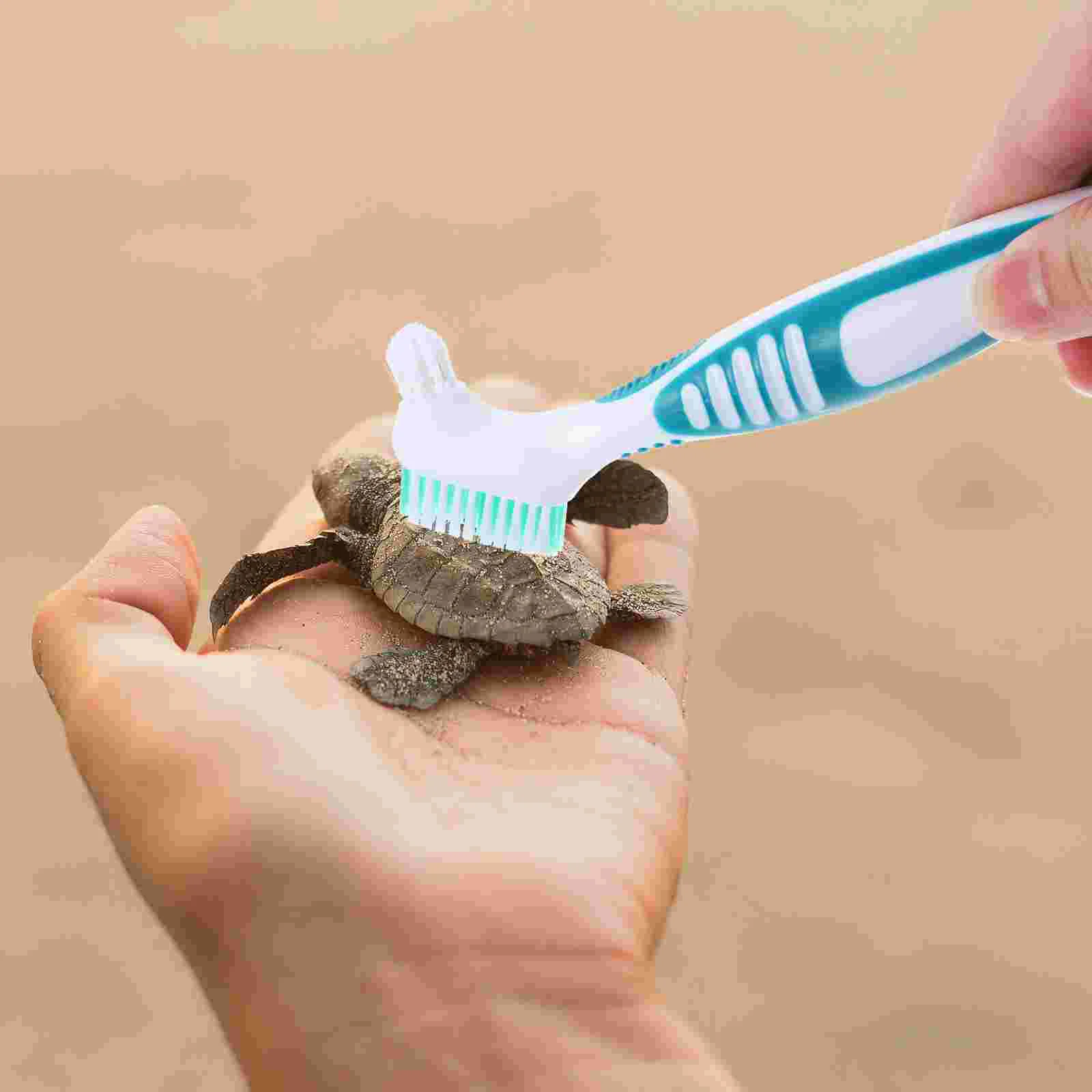 

Animals Turtle Shell Cleaning Brush Creative Personal Mini Detergent Mud Dirt Remover Multi-functional Small