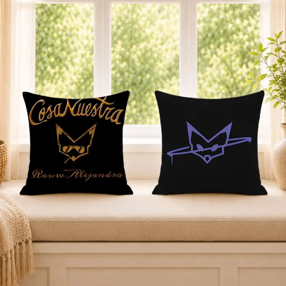 Rapper Singer R-rauw Alejandro Cushion Cover Wrinkle-Resistant Short Plush Cushion Covers Breathable Machine-Washable
