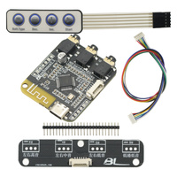 BP1048 Bluetooth 5.0 DSP Tuning EQ40 Electronic Frequency Division Module TWS Audio Stereo Pre-amplifier Tuning Board