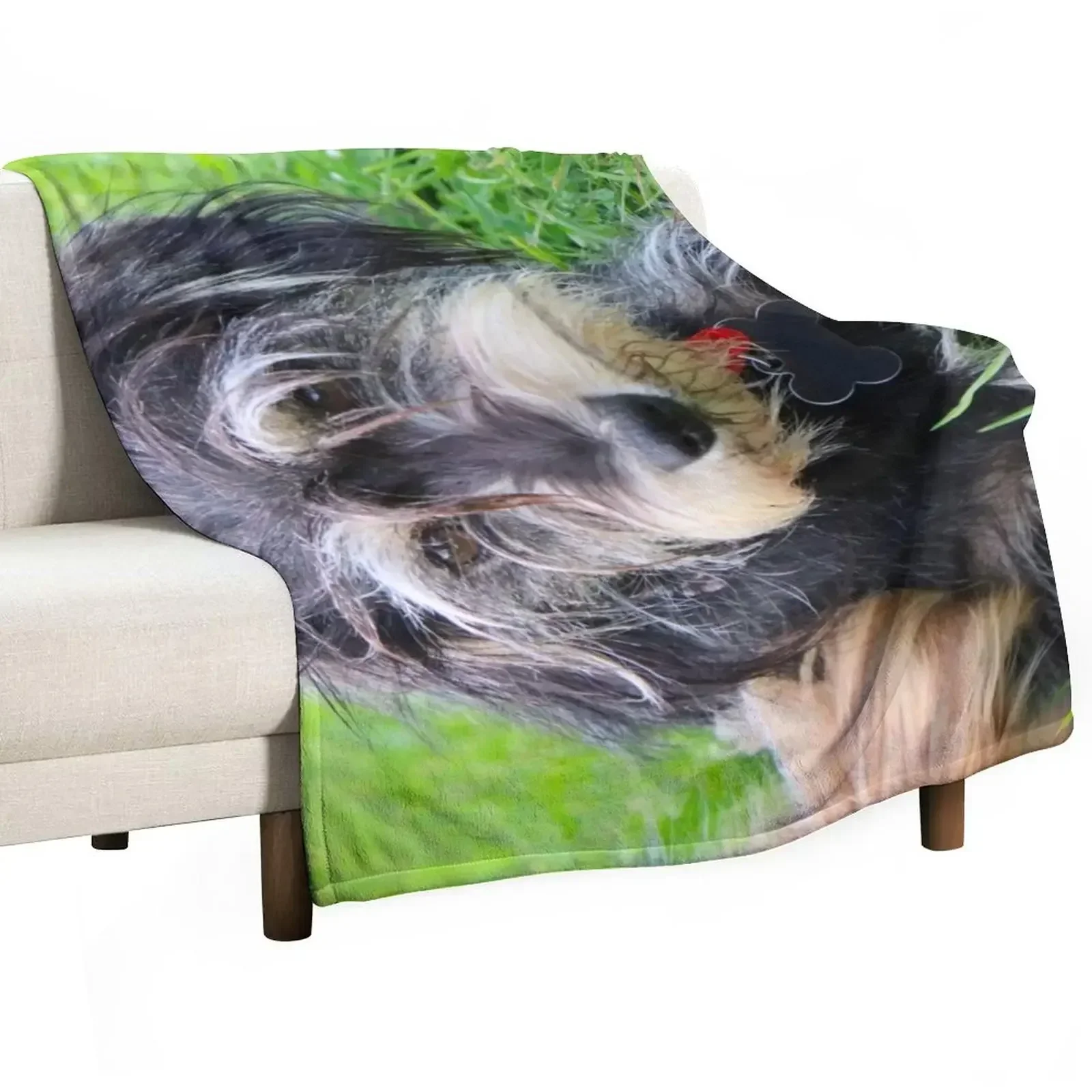 Miniature schnauzer doggy, bella Throw Blanket Travel manga Blankets