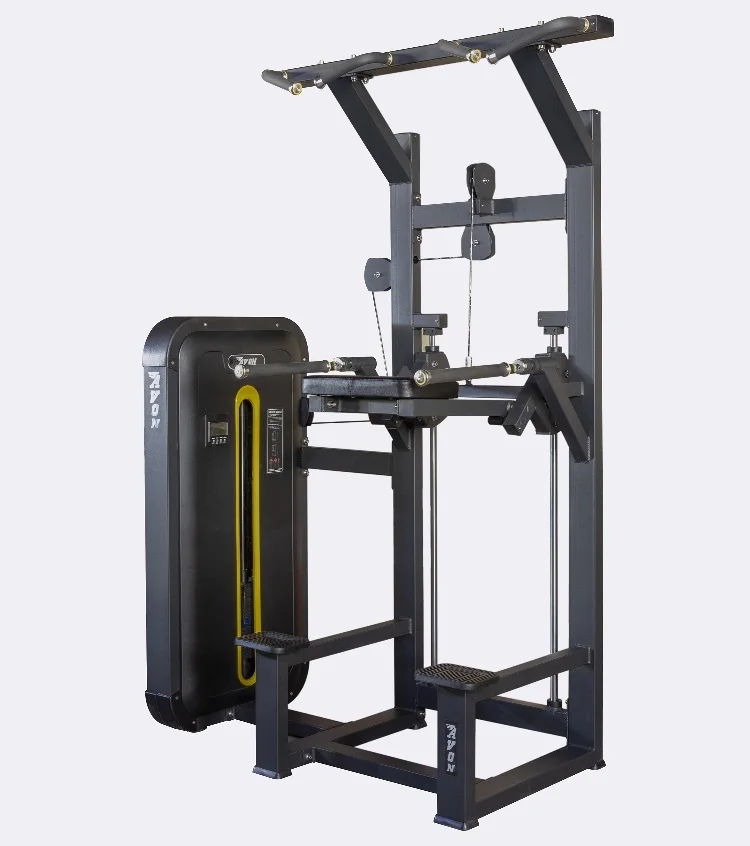 

China Factory Gym Equipment ASJ-ZM025 Professional Gym Fitness Equipment Pin Loaded Strength Training Dip/Chin Assist
