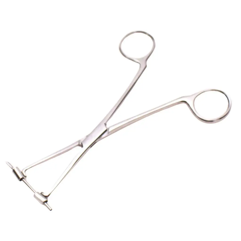 6inch Professional Stainless Steel Septum Forceps Body Piercing Clamp