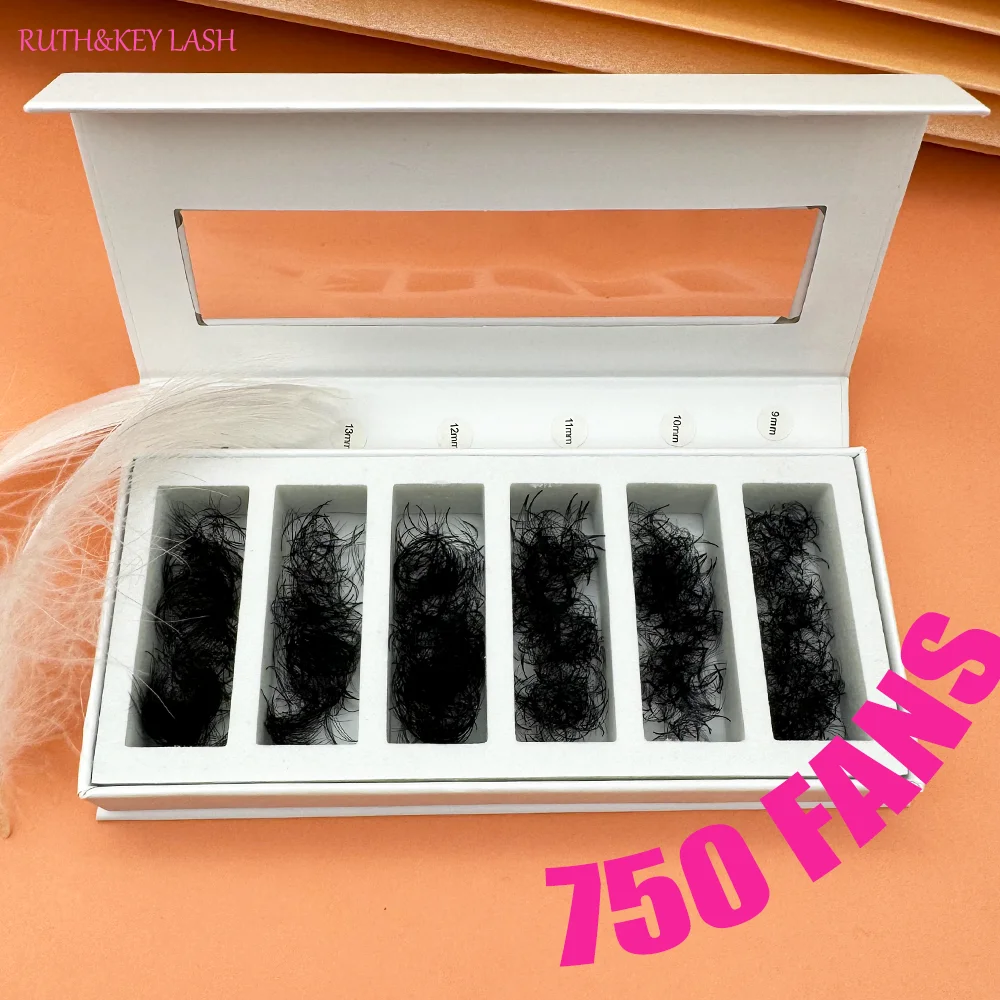 750 fans 5D/6D/8D/10D/12D/14D Ultra Speed Premade Fans Eyelash Extensions Russian Volume Individual Lashes Faux Mink New Package