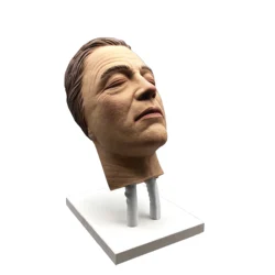 Maniquí de inyección realista masculino, modelo de entrenamiento facial, cabeza de entrenamiento para inyecciones faciales, piel ligera con características masculinas