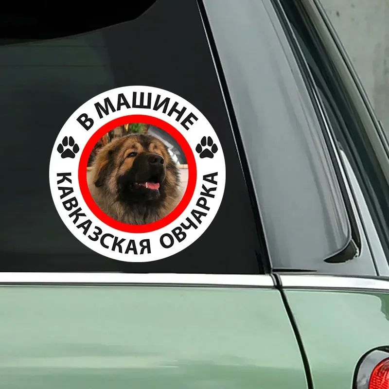 Etiqueta engomada del coche del perro pastor caucásico de la personalidad, parachoques impermeable, embellecedor del coche en la ventana trasera, 10cm