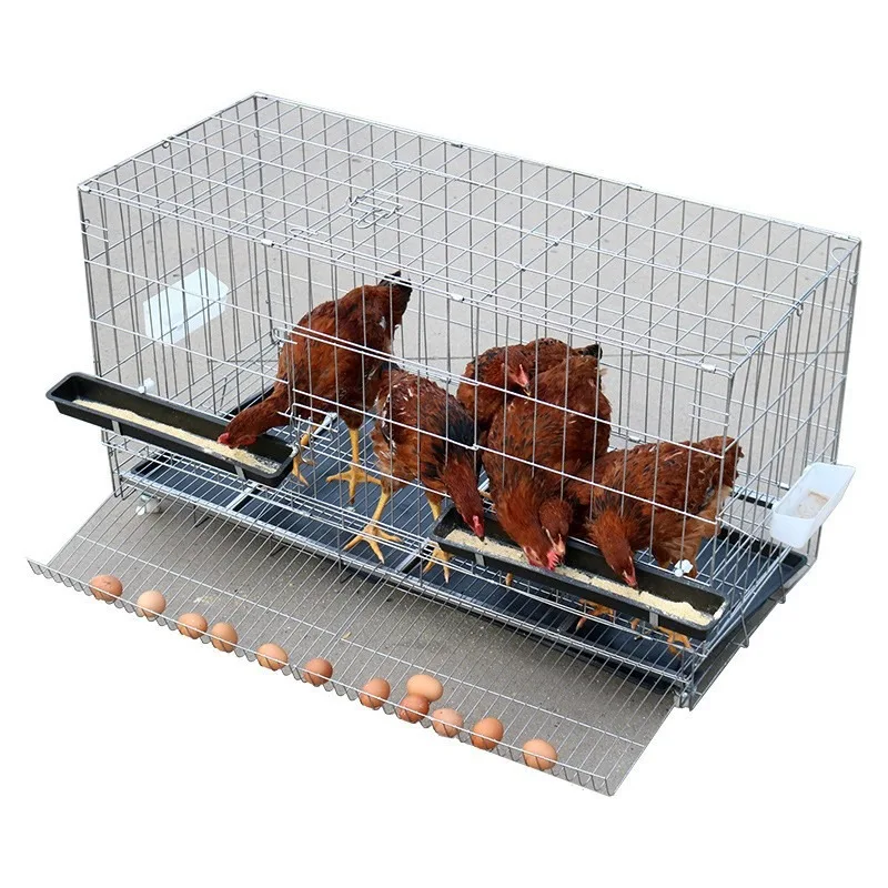 Jaula apilable de alta calidad para codornices, aumenta la producción de huevos, controlador de incubadora