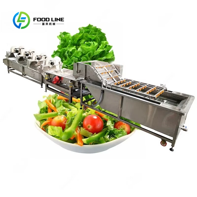 Customized Industrial 4000 Kg/hr Pressure Spray Washer Fruit Vegetable Bubble Cleaner Rust Proof Durable Equipment