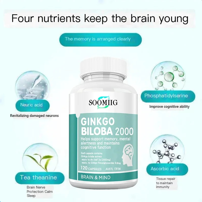 Ginkgo biloba-suplemento, suporta concentração, memória, melhorar a imunidade, função cerebral