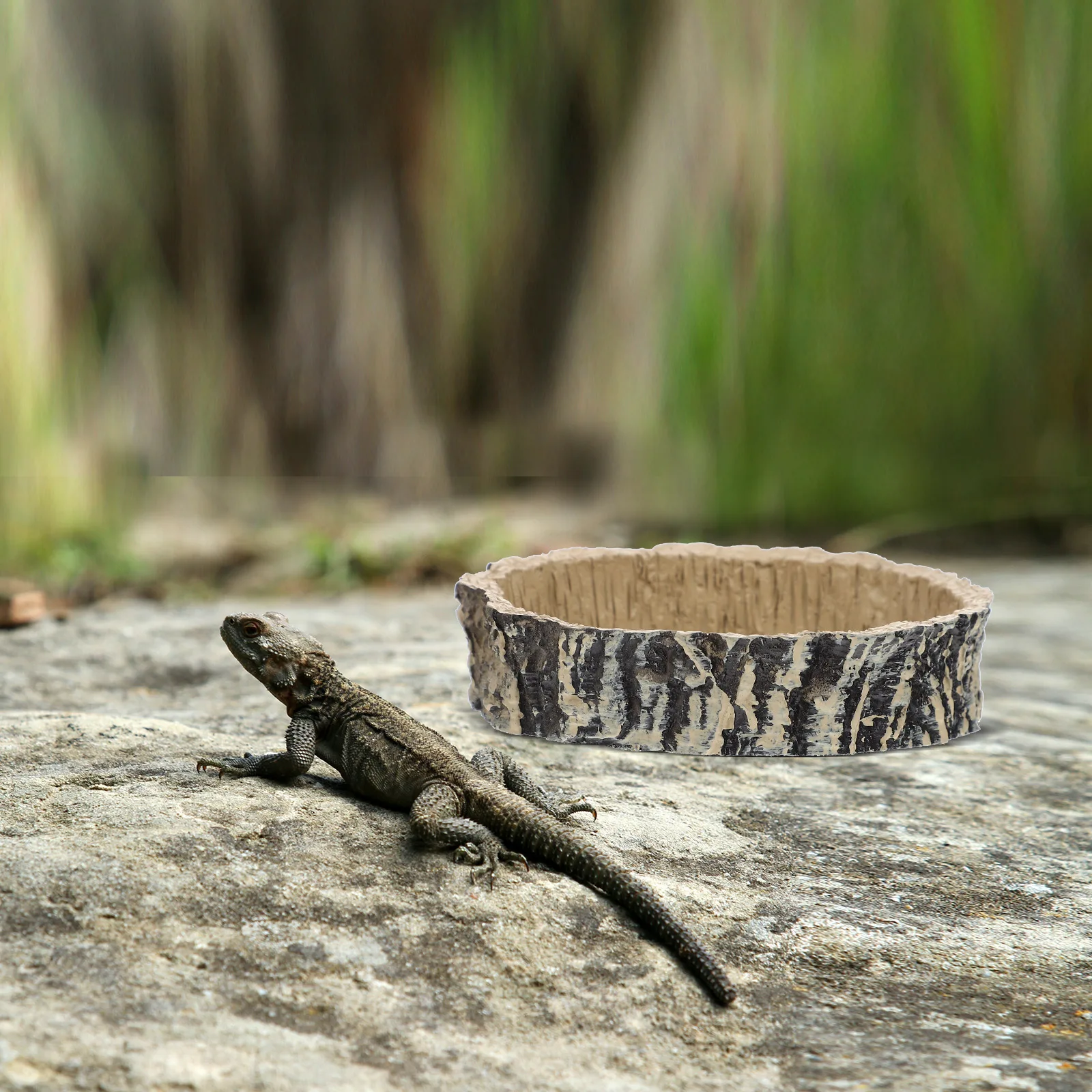 

1pc Natural Resin Reptile Food Bowl For Lizard Snake Turtle Terrarium Feeding Water Dish Crawling Pet Container