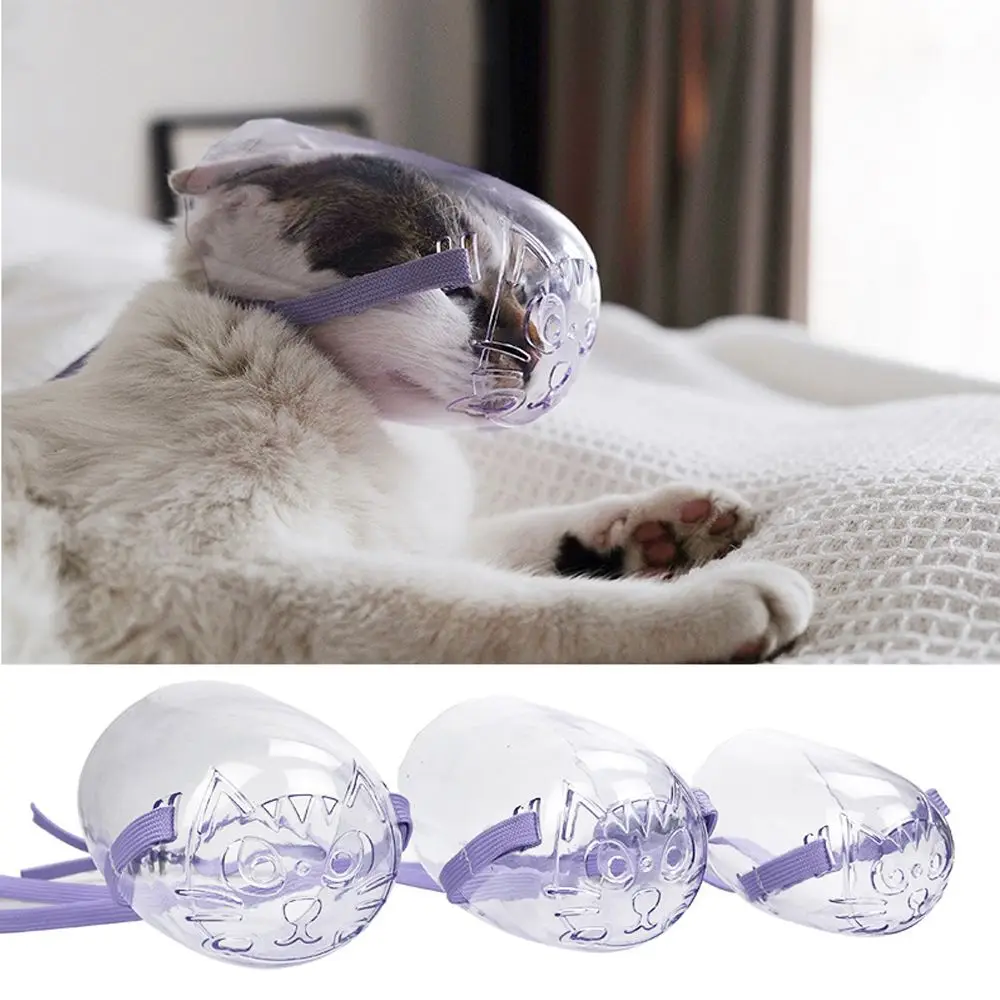 Masque de récupération transparent pour chat, anti-aboiement, anti-morsure, pour toilettage de chatons et animaux de compagnie