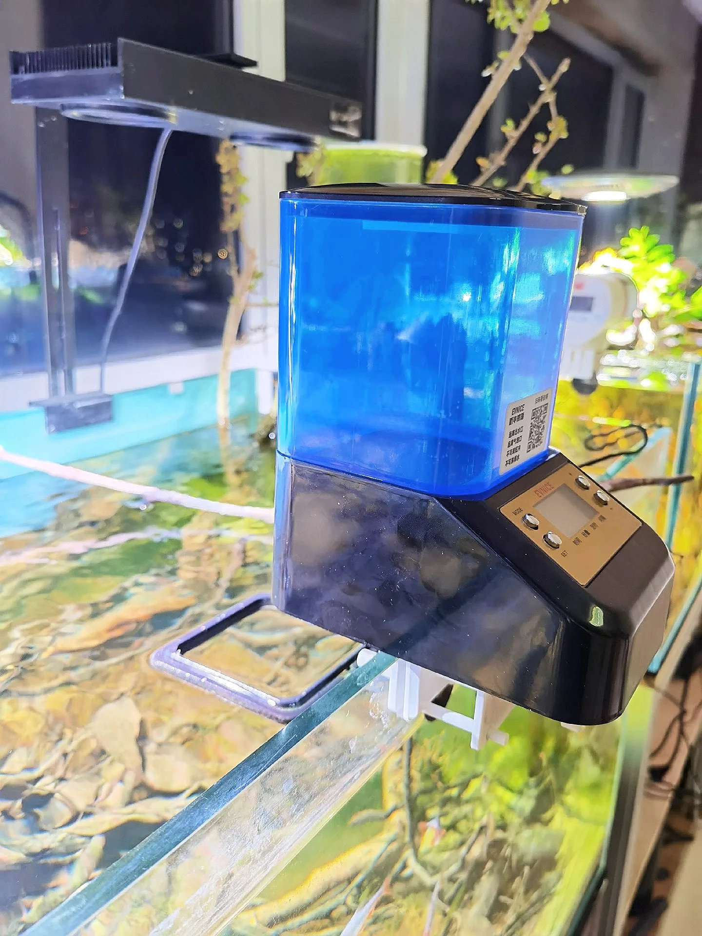 Máquina automática de alimenta - Aquarium Fish Koi reseña y precio