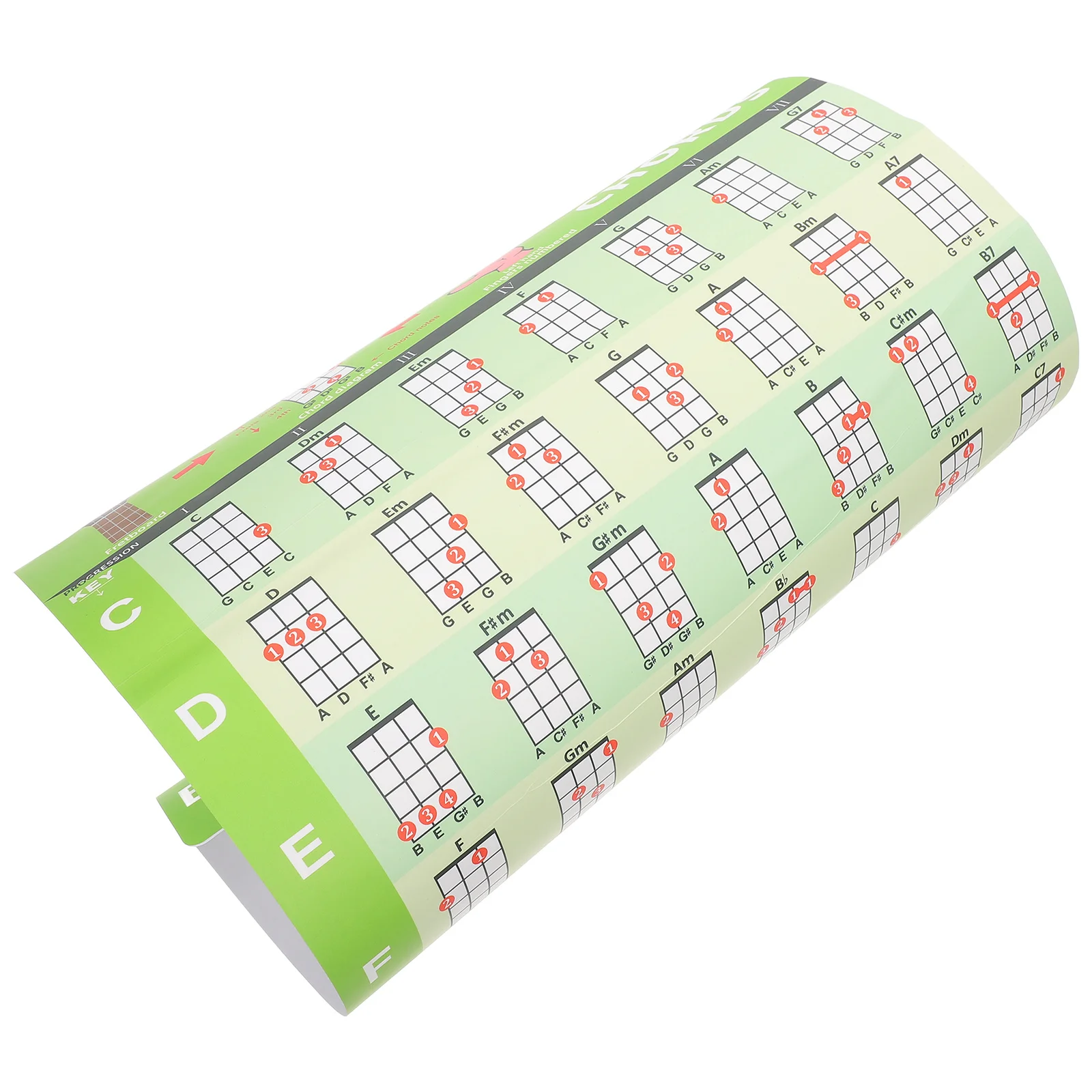 

Ukulele Chord Chart Sticker Pvc Waterproof Learning Poster For Beginners Practice Guide Musical Instrument Accessories Chord