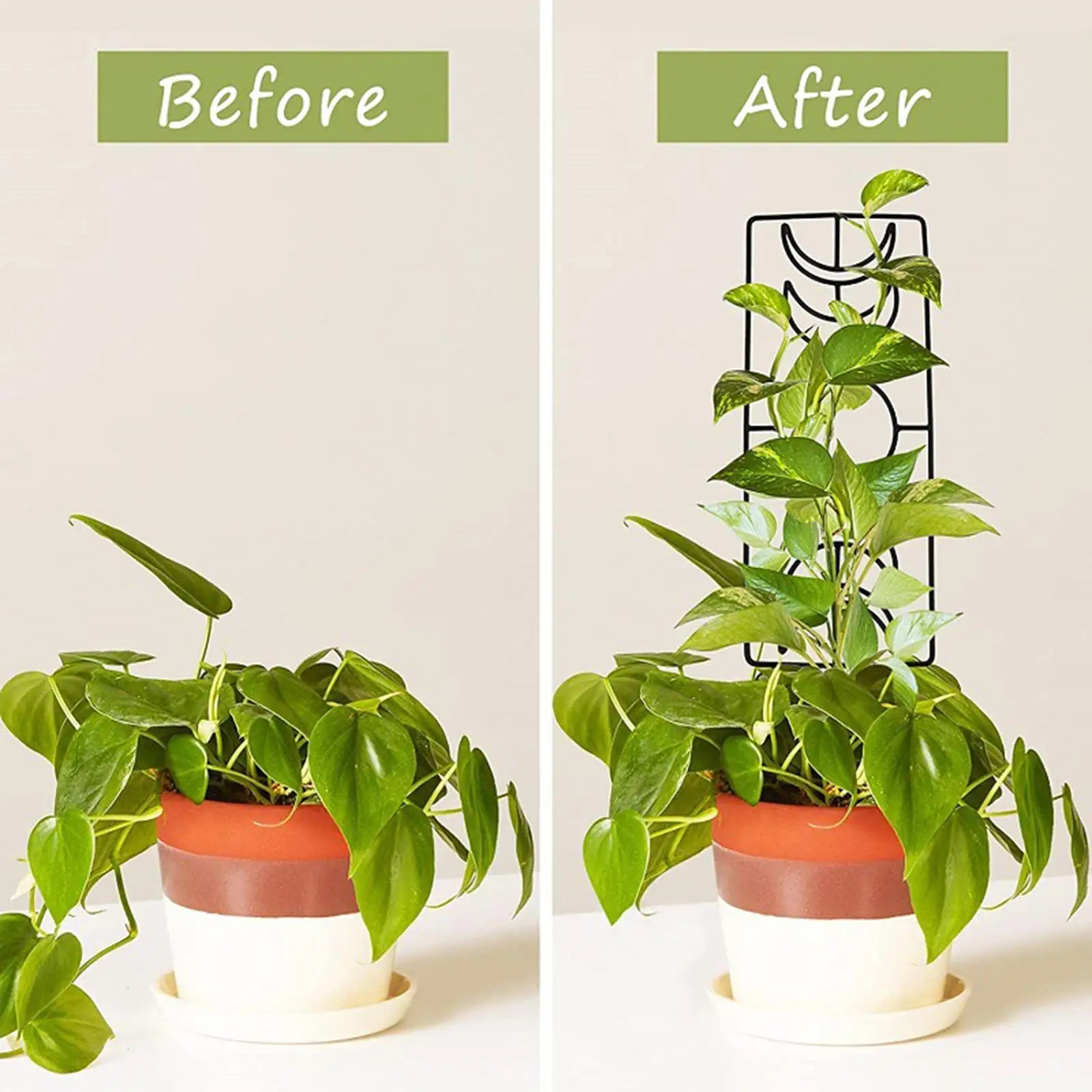 Climbing Plant Support Trellis for Potted Plants Metal Iron Garden Decor Indoor Outdoor Sturdy Reusable Structure for Vines