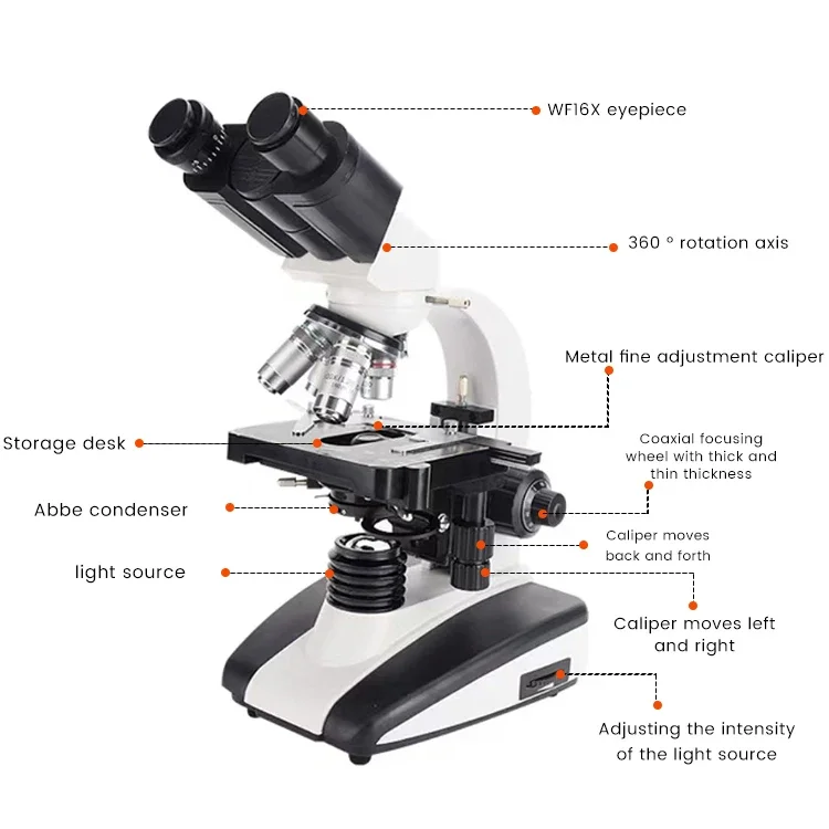 Optisches XSZ-107BN biologisches Mikroskop 1000x binokulares trin okulares Labor