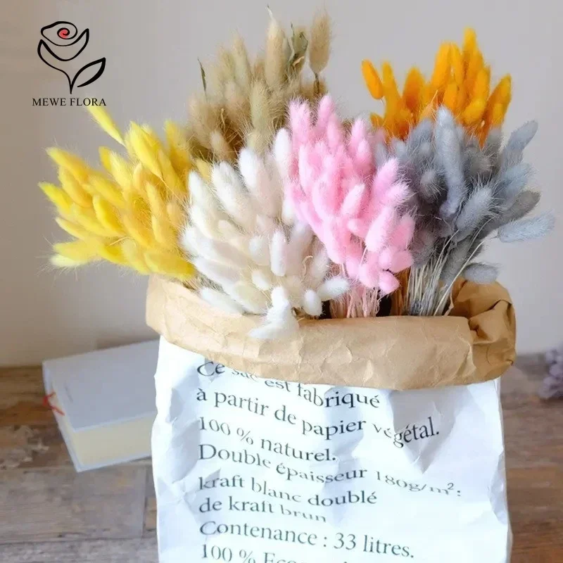 

60Pcs Natural Preserved Flower Bunny Tail Grass Bouquet Wedding Arrangement Dried Flowers Colorful Lagurus Home Room Decoration