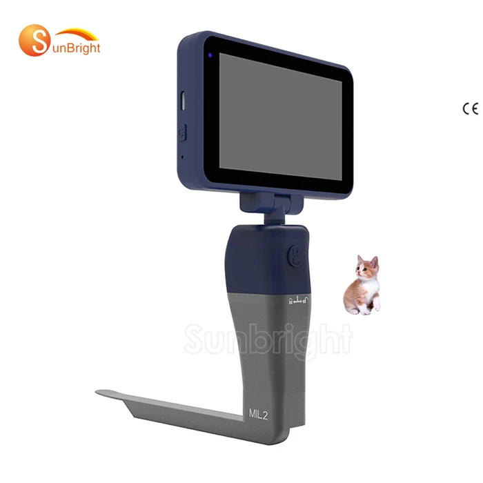 

Hand Held Video Camera